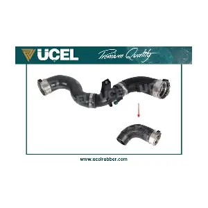 UCEL 16098