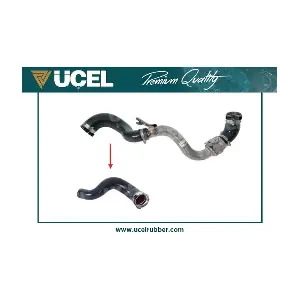UCEL 16050