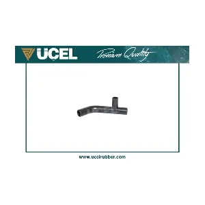 65118 UCEL