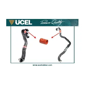 UCEL 15958