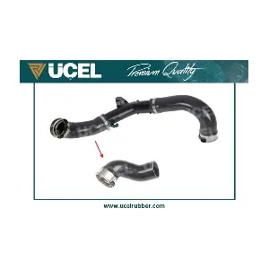 16101 UCEL