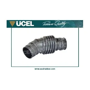 95216 UCEL