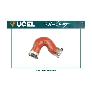 UCEL 98106