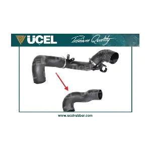 UCEL 35818