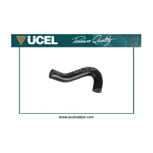 UCEL 65101