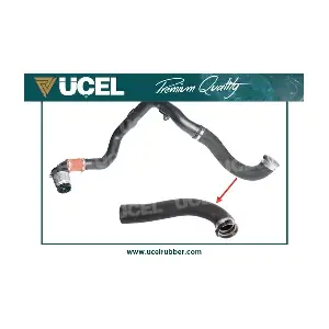 UCEL 15196