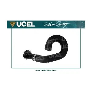 UCEL 35831