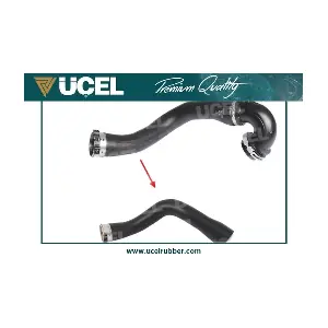 UCEL 95142