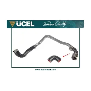 UCEL 16103