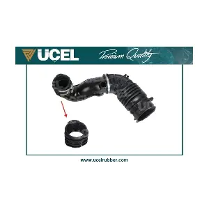 21300 UCEL