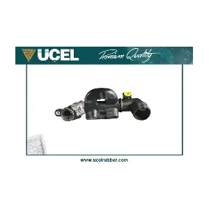 UCEL 21313
