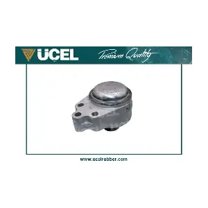 UCEL 20167
