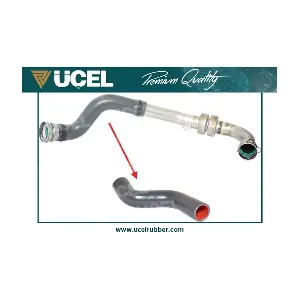 UCEL 15907