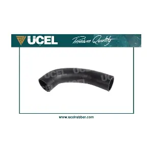 UCEL 65213