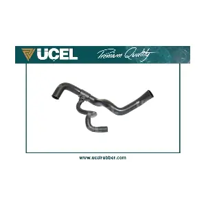 UCEL 15561