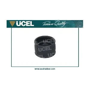 65500 UCEL