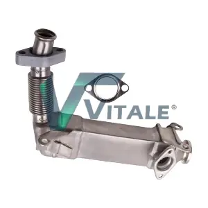 BM750761 VITALE