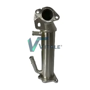 VITALE FO807897