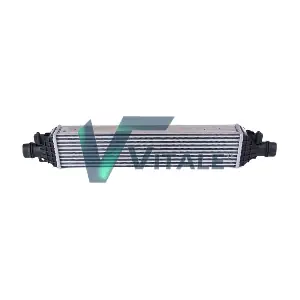 OP818629 VITALE