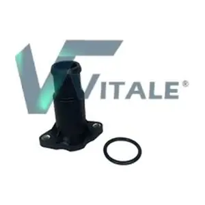 VW121145 VITALE