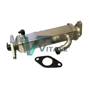 FI528634 VITALE
