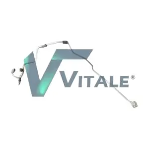 VW820741 VITALE