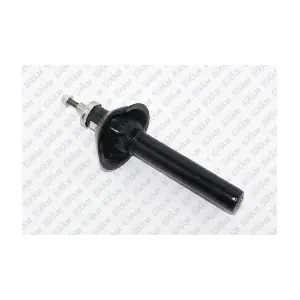 SIAAM 545324