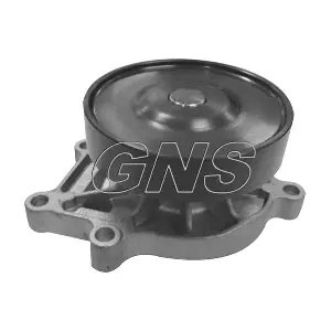 YH-T243 GNS