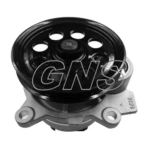 GNS YH-F300