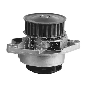 YH-V125 GNS