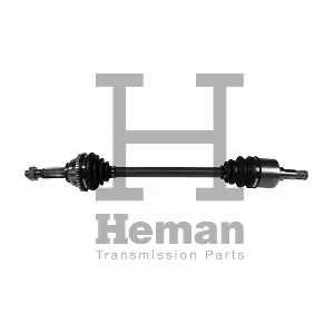 HEMAN TD71160