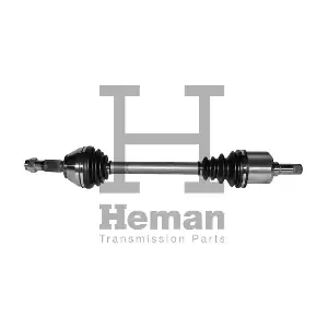 HEMAN TD70640
