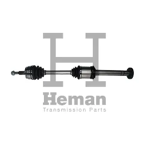 TD77430 HEMAN