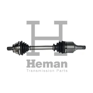 TD77900 HEMAN