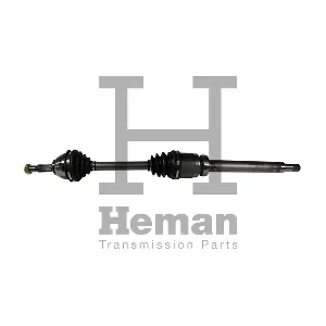 HEMAN TD74320