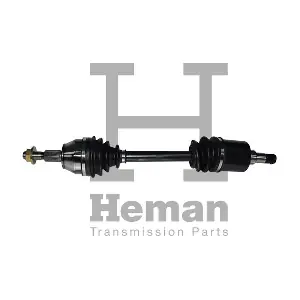 HEMAN TD78070