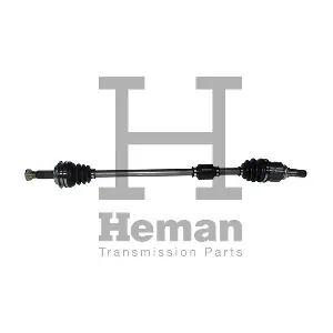 TD77980 HEMAN