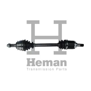 HEMAN TD77700