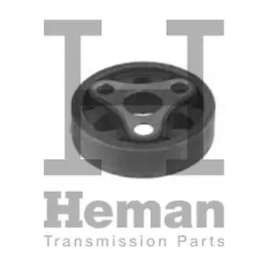 TZ70036 HEMAN