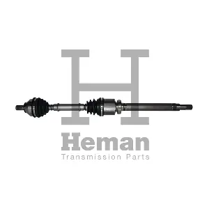 TD78100 HEMAN