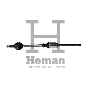 TD71570 HEMAN