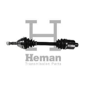 TD71300 HEMAN