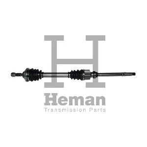TD71920 HEMAN
