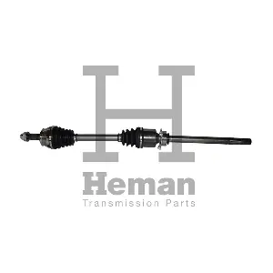 TD78060 HEMAN