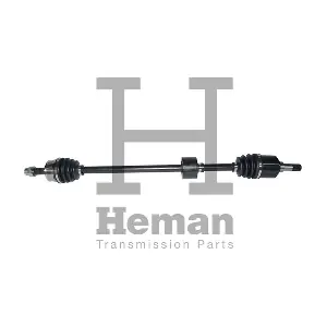 HEMAN TD78030