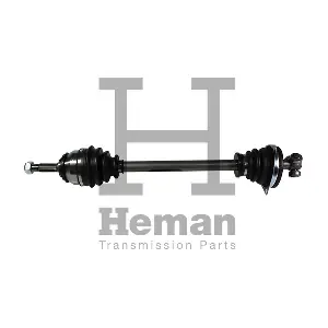 HEMAN TD74070