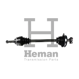 TD74110 HEMAN