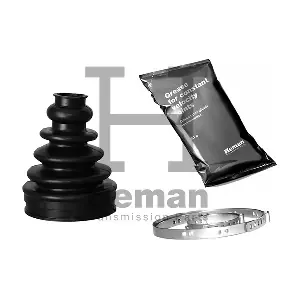 HEMAN TBK00100