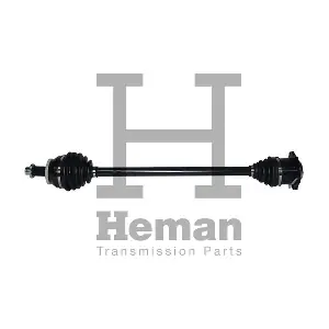 HEMAN TD78010