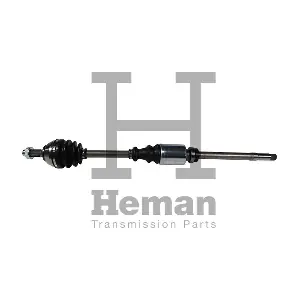 TD70420 HEMAN